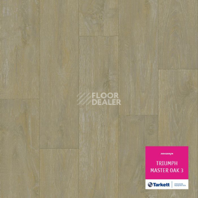 Линолеум Tarkett Triumph MASTER OAK 3 фото 1 | FLOORDEALER